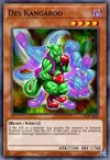 Edison Rulings for Des Kangaroo